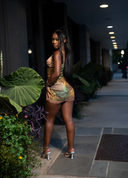 Wild Instinct Slip Drêss